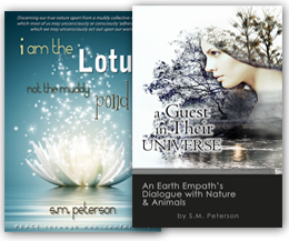 Books by Mandy Peterson